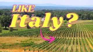 Discover a Hidden Gem Winery in North Carolina