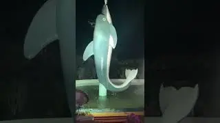 Magic Water Fountains #fun  #magic #viral #fountain #water