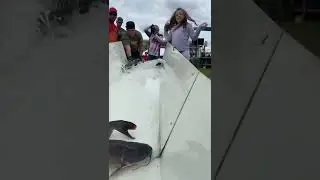 FAT CAT Release Goes Wrong (SeaArk Catfish Tournament)