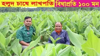 হলুদ চাষে লাখপতি । বিঘাপ্রতি ১০০ মন । Holud chas । Turmeric farming । Swadesh BD