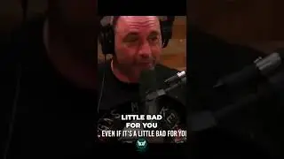 Joe Rogan on Thermocels: Safety, Benefits, and Animal Perception! #shorts