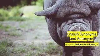 English Synonyms and Antonyms, Section 03: Accident to Address, n