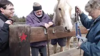 State Line Tack gives back to Seaview Equine Learning Facility!