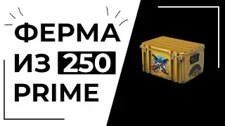 СКОЛЬКО ЗАРАБОТАЛ С 250 ПРАЙМАХ | ФЕРМА В CS2 2025 ГОДУ | ОТЧЕТ ПО ФЕРМЕ CS2 #7
