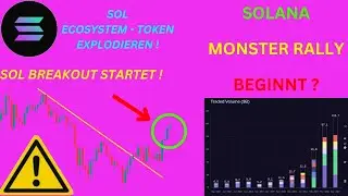 SOLANA MONSTER RALLY BEGINNT ? SOL ECOSYSTEM TOKEN EXPLODIEREN ! SOL Chartanalyse und News