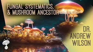 Fungal Systematics, Mushroom Ancestry & Recognizing Patterns || Dr. Andrew Wilson