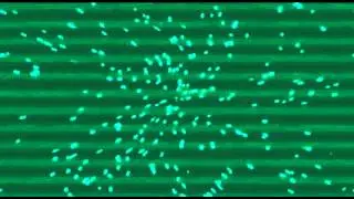 Интро для The_Maks500_PLAY