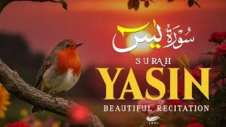 Surah Yasin (Yaseen) سورة يس ✪ Beautiful Quran Recitation ✪