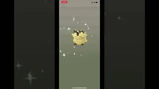 Shiny Galarian Meowth Hatch! Pok&eacute;mon GO