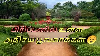 பிரிட்டனில் உள்ள அதிசய பூங்காக்கள் || IN TAMIL || ABS CHANNEL OLD HISTORY
