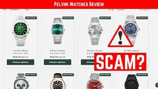 Pelvini Watches Review 2026 - Cheap Rebrand Exposed?