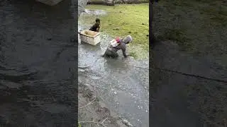Immediately a lot of people came #fish #fishing