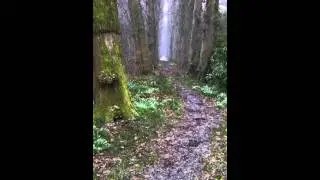 A walk around Rosshall Park, Glasgow