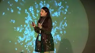 CO2ATALYSER from Azerbaijan - ClimateLaunchpad Grand Final 2017