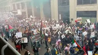 free Palestine 🇵🇸  parade in downtown  Pittsburgh