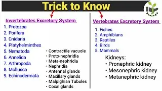 Trick to know Invertebrates and Vertebrates Excretory System | Very Important for Zoology Students
