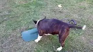 20090619 161930