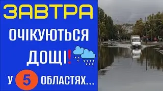 ОЧІКУЮТЬСЯ ДОЩІ?! Прогноз погоди на 20 Листопада