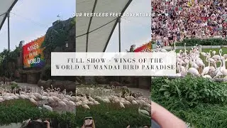 [HD] FULL SHOW - Wings of the World at Mandai Bird Paradise