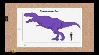 Second Grade How to Draw Dinosaurs Powerpoint