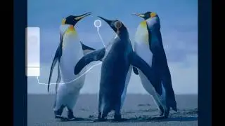 Show Me How to Dance by Factor8