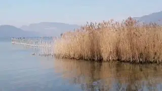 The beauty of Nature - The Lake of Bourget (Lac du Bourget), France
