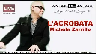 L'ACROBATA / Michele Zarrillo / Cover by ANDRE DE PALMA