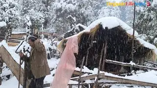 This IS Himalayan Village During the Snowfall | Documentary Video | Nature With Rural |