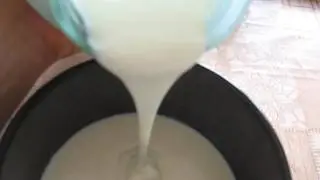Ацидофилин / Lactobacillus acidophilus