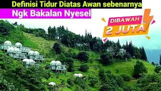 Viewnya masih yang terbaik sepuncak, sensasi tidur diatas awan - Damar Langit Resort