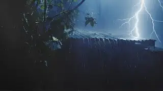 Sleep Instantly to Heavy Thunderstorm & Rain (Black Screen after 10 min)