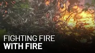 CalFire Plans to &lsquo;Fight Fire With Fire' at CZU Lightning Complex Fire