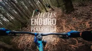 Lucus Enduro