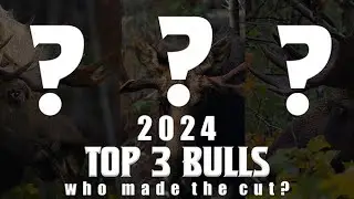 Who Made the Cut? My Top 3 Extraordinary Bull Moose of 2024!!!