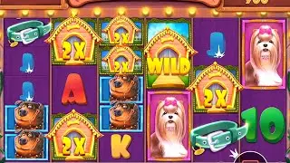 The Dog House Megaways Stacks Up Sticky Wilds for Big Wins