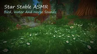 Star Stable ASMR☀️🌙 | Bird, Water And Horse Sounds For Studying, Relaxing Or Reading