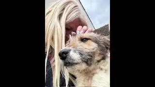 We saved Annie from the public shelter. Now safe with us and looking for her family | Paws2Rescue