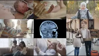 How Cinchy's architecture is inspired by the design of the human brain