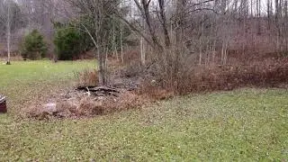DJI Mavic Mini Quick Flight #3.. close call with tree..