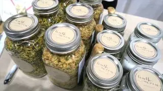 Healthy Moms Toronto Marketplace