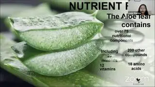 ALOE VERA AND IMMUNITY I BOOST IMMUNITY I PURE ALOE WITHOUT PRESERVATIVES I THE BEST ALOE VERA GEL