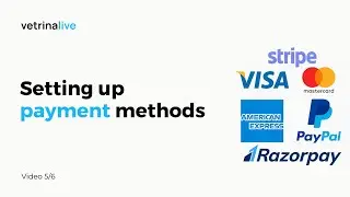 How to Setup Payment Methods For Your ECommerce Store - Vetrina Live
