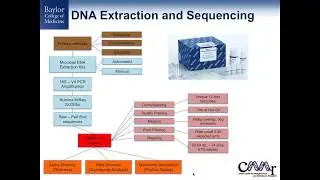 Characterizing the microbiome of neonates and infants