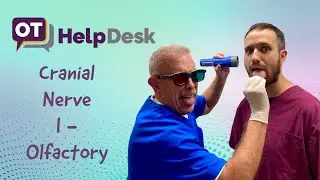 CN I: Olfactory Nerve Assessment - OT Help Desk