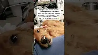 Axel&rsquo;s story in the description