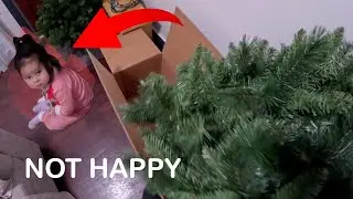 Christmas is gone