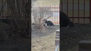 &laquo;Вид&raquo;. Мне так скучно.