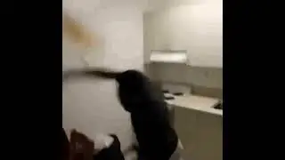 (AI enhanced 2795 frames) Guy throws cereal at wall