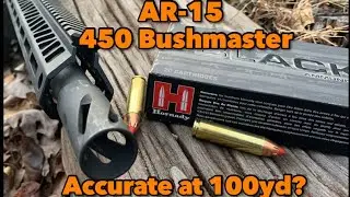 450 Bushmaster AR-15.. How will it group at 100yd?