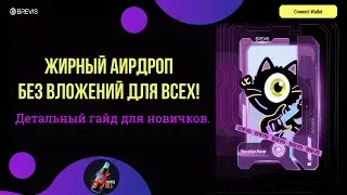 Как Получить Жирный Аирдроп от Brevis? Детальная Инструкция.